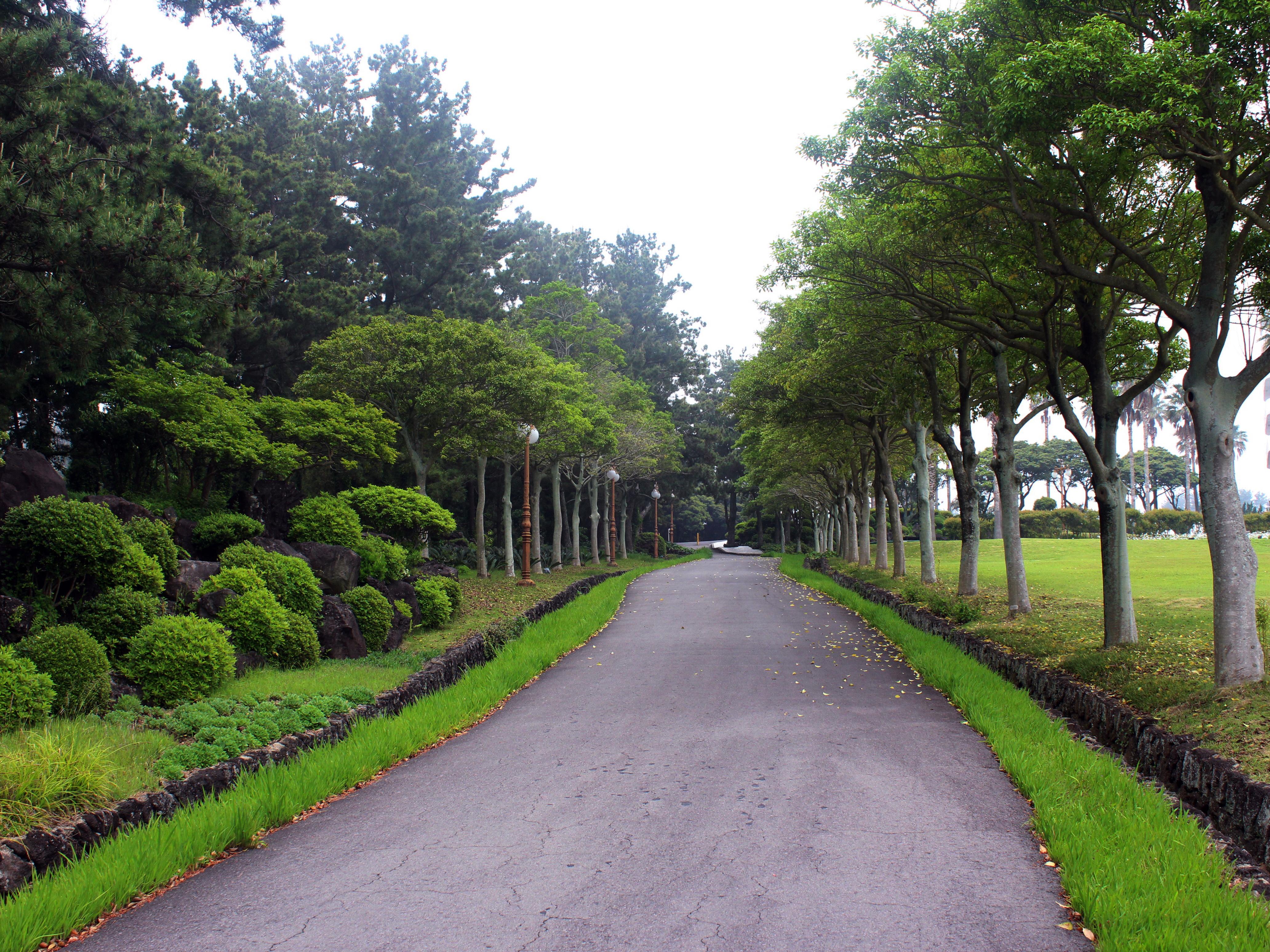 Seogwipo Kal Hotel Exterior foto Road through the park