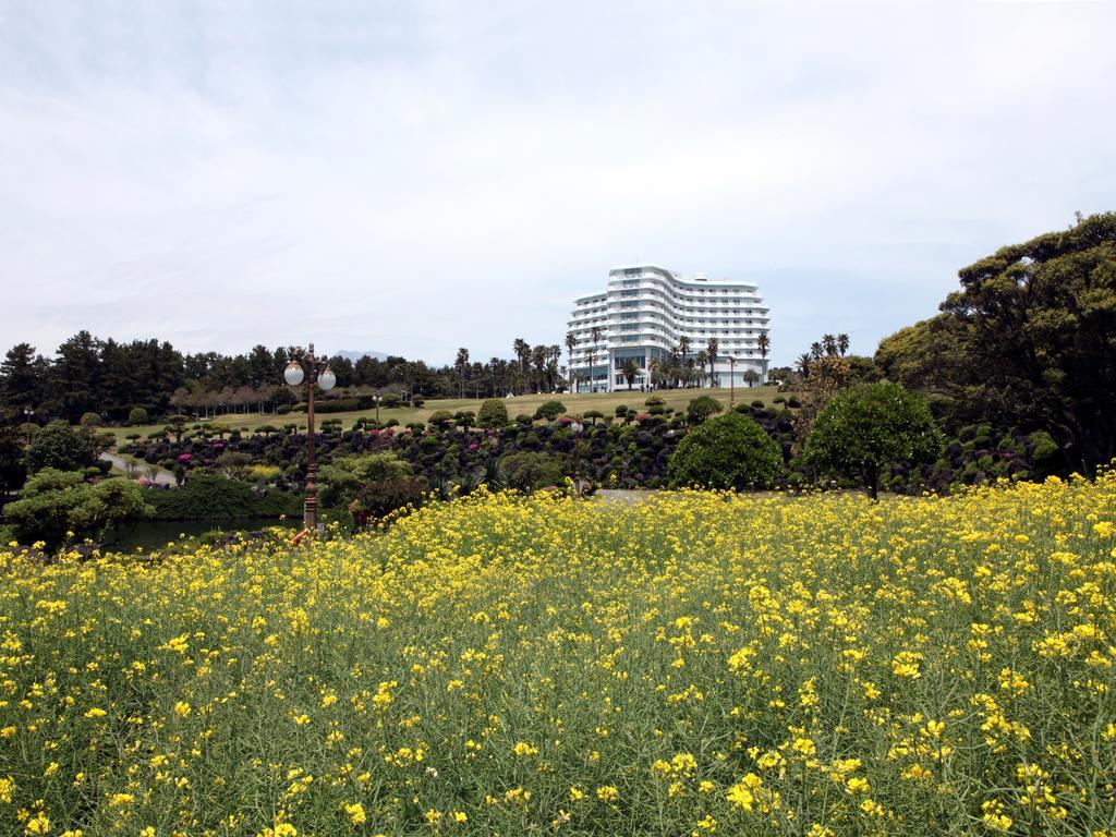 Seogwipo Kal Hotel Exterior foto View of the hotel from the park